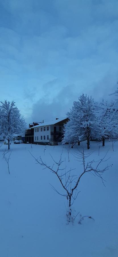 Guest House Tavaduri Mestia Eksteriør bilde